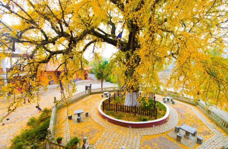 �Ԙ��ý��������֮��