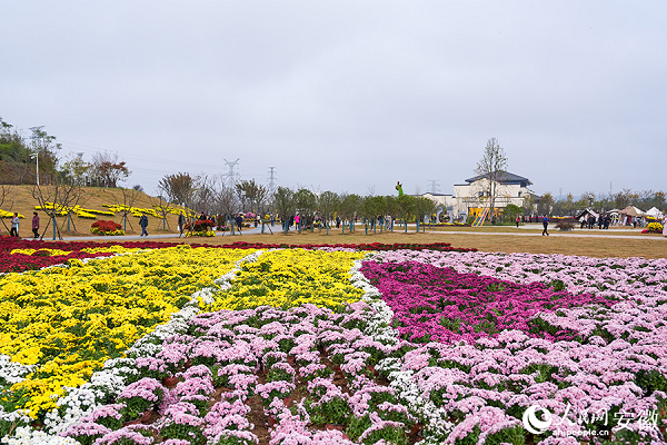 6�f�������ʢ�� 20��