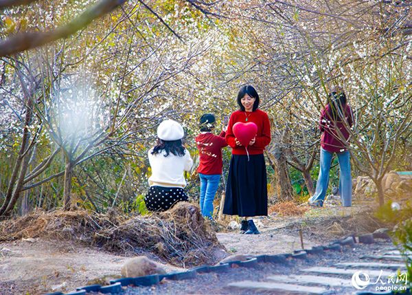 �ο��ڡ��������С��򿨡�������W(w��ng) ����t�z