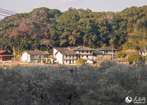 ��̩�h���X�(zh��n)�Ǯ�(d��ng)?sh��)غ����p÷�^(q��)֮һ������W(w��ng) ����t�z