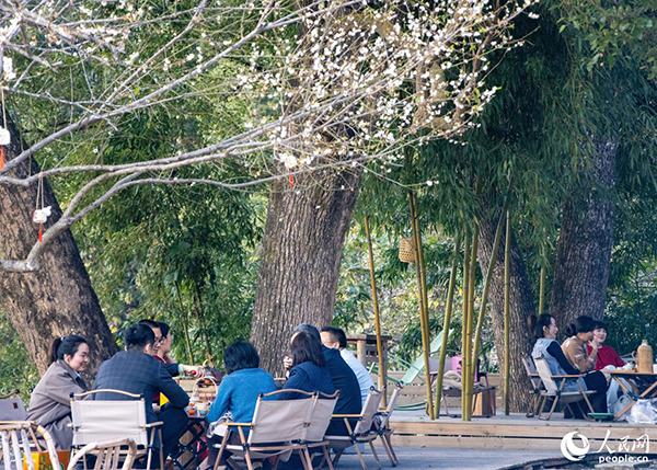 �ο���÷�����t���������W(w��ng) ����t�z